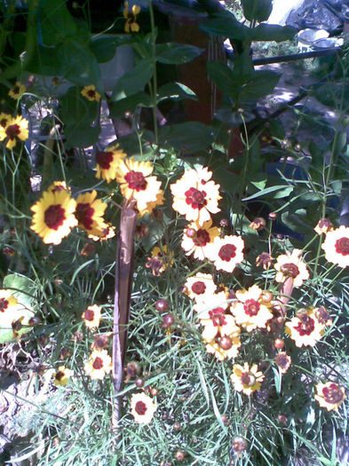 Imag282