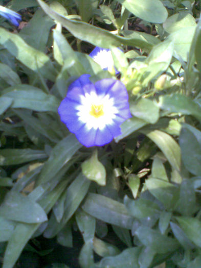 Imag286
