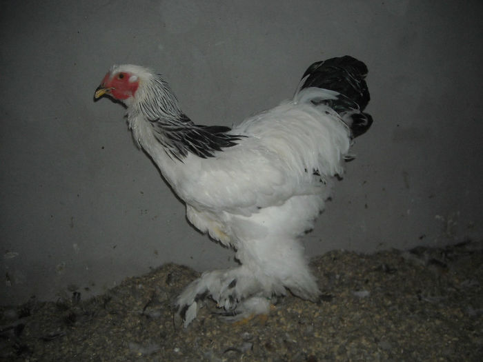DSCN8565