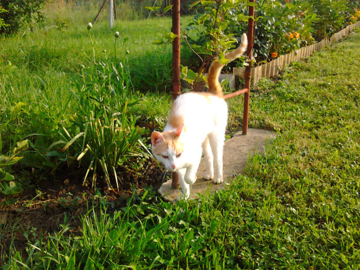 "Vecina" in vizita la noi