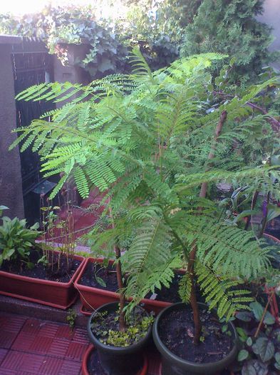 2013-07-29 07.33.01-7