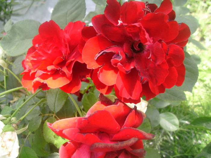 PICT0326