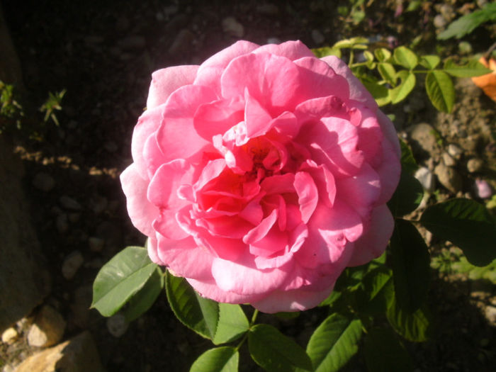 PICT0336