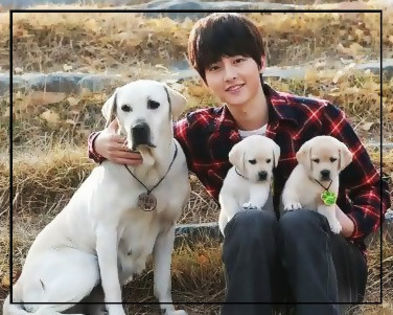  - x_Koreans with pets