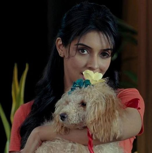 970605_281134125362180_53141278_n - Asin Thottumkal
