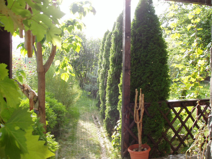 e soare.....dar ploua !!! - VARA 2013