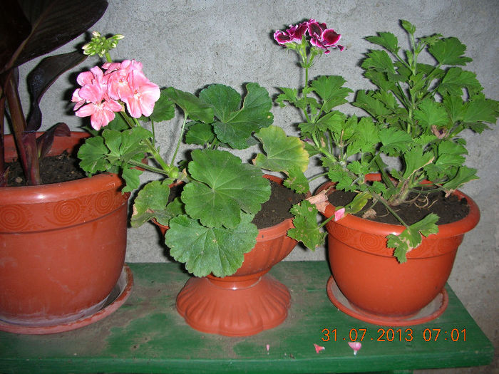 DSCN5090