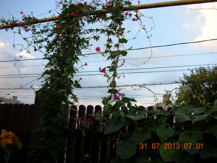 DSCN5095