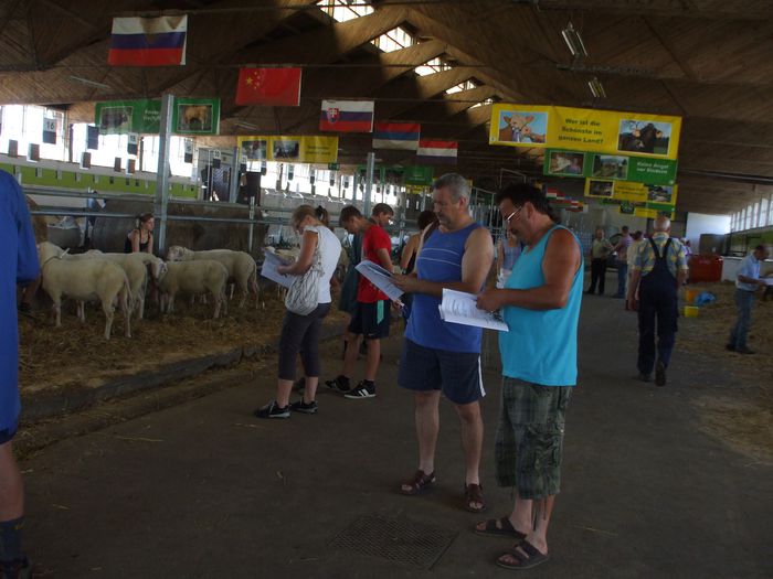 cu Csaba ne uitam in katalog