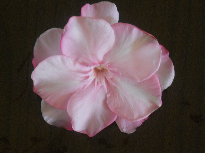 044
