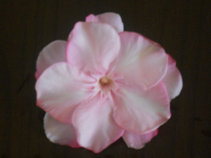 046