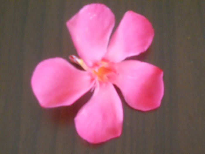 052