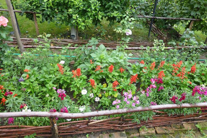 P1010128 - 006 31 07 2013