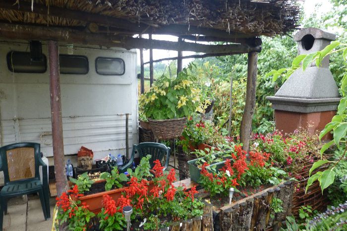 P1010129 - 006 31 07 2013