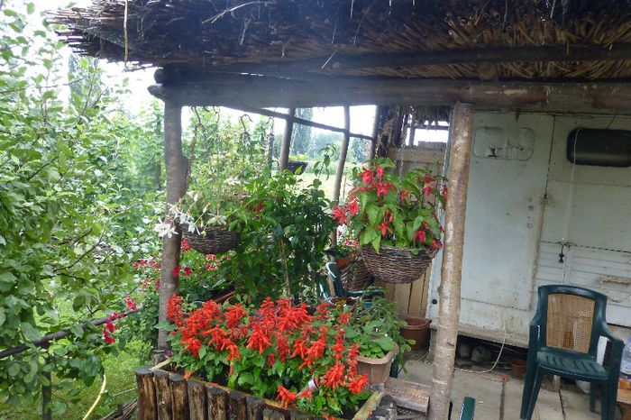 P1010130 - 006 31 07 2013