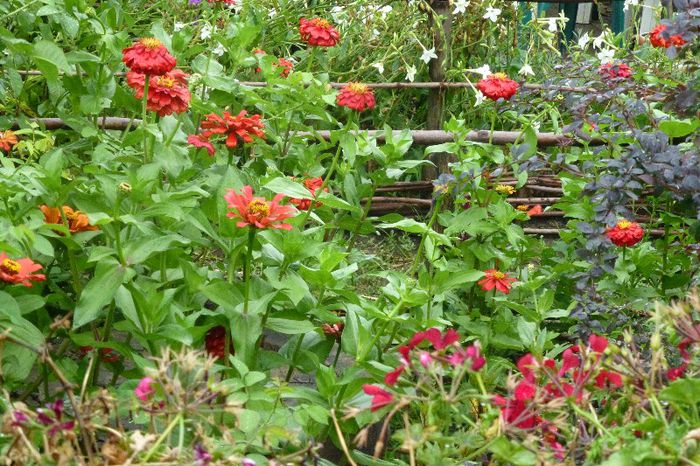 P1010133 - 006 31 07 2013