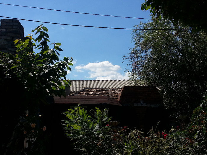 2mai2013 507 - Concediu Flaviu 2 mai 2013