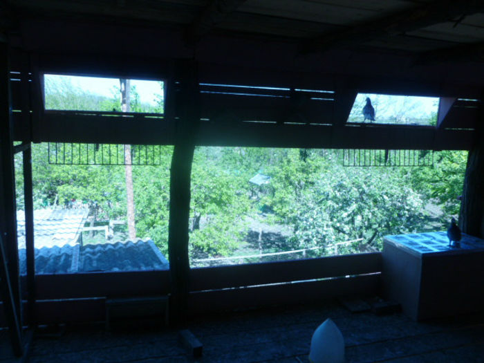 P1020712