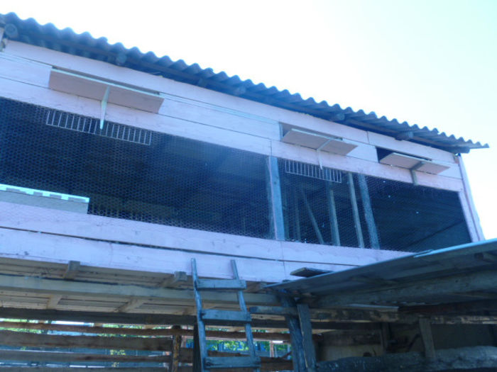P1020724