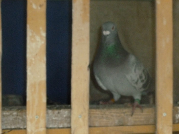 P1030087