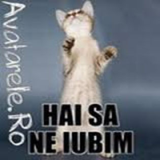 340 - 1_own pozaaa_1