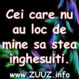 346 - 1_own pozaaa_1