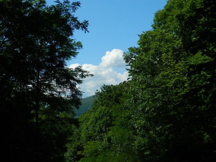 DSCN6946