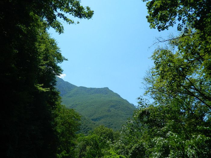 DSCN6947