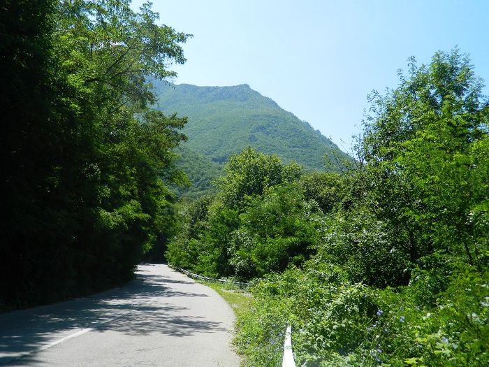 DSCN6948