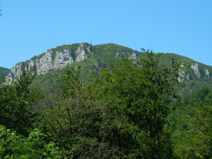 DSCN6961