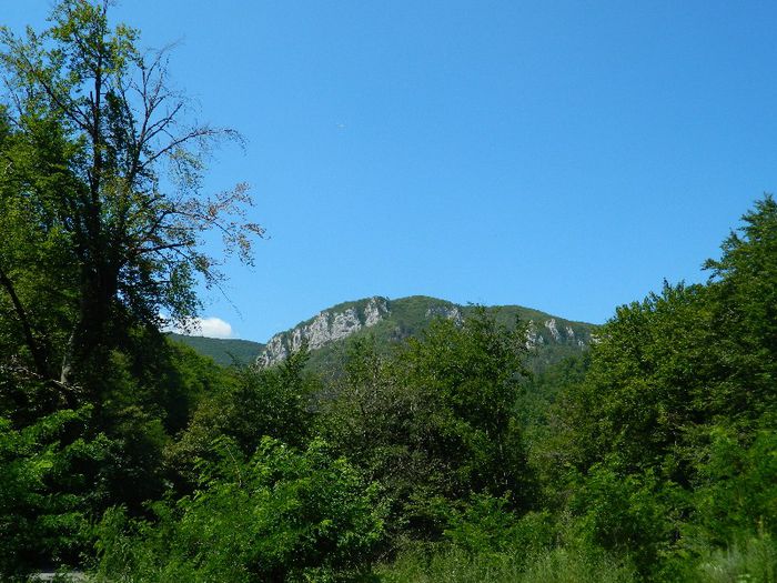 DSCN6962