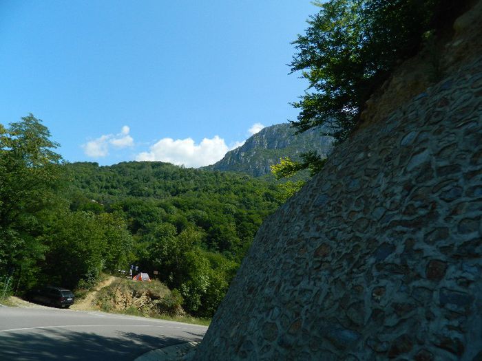DSCN6976