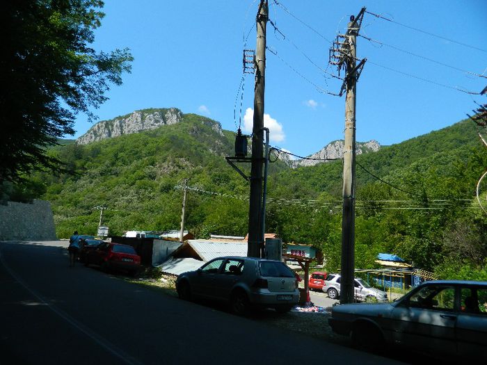 DSCN6987
