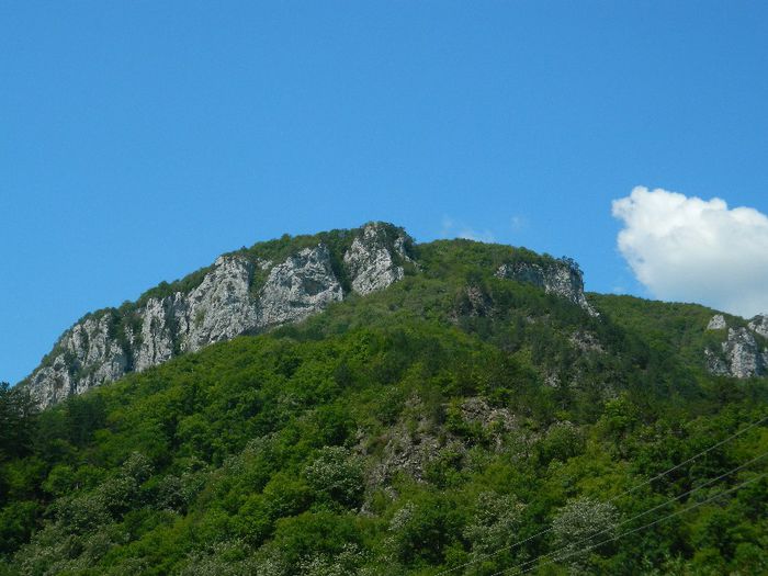 DSCN6988