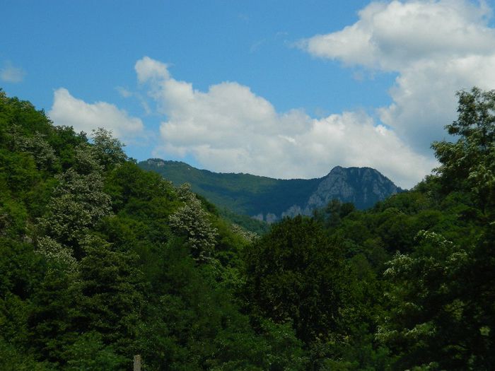 DSCN6996