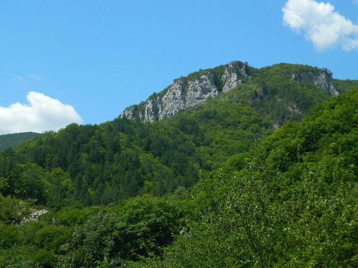 DSCN6997