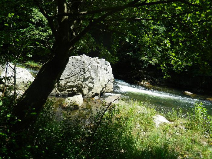 DSCN7017