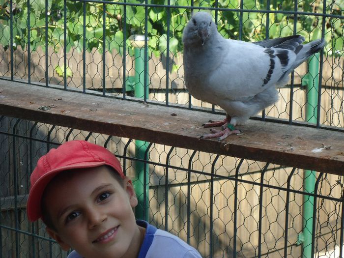 DSC03473 - 3-ALBASTRU AZUR-2013