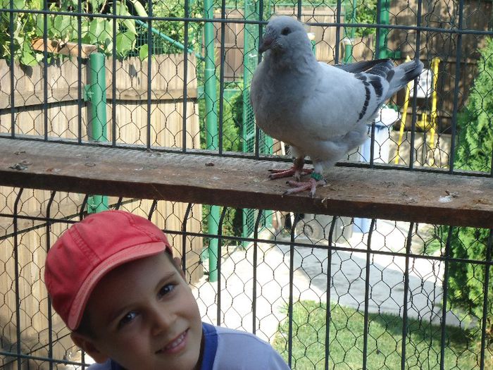 DSC03474 - 3-ALBASTRU AZUR-2013