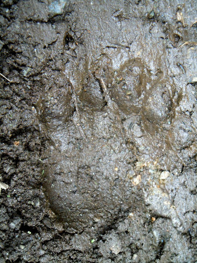 urma care ne-a convins sa facem cale intoarsa