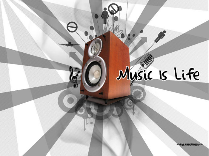 music_is_life - Cererile in casatorie si muzica preferata