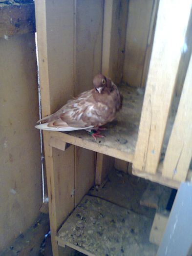 Fotografie0743[1]