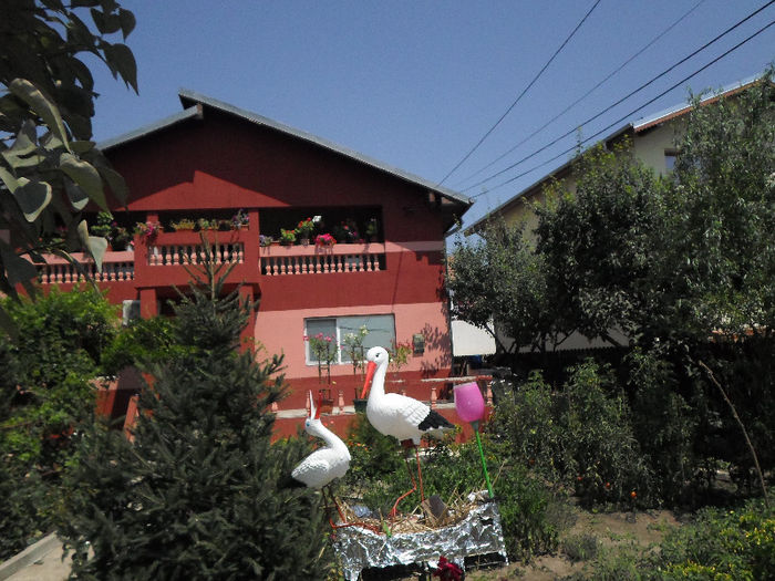 n 018 - Curtea si gradina