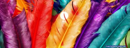 colorful-feathers - Cover Wallpapers