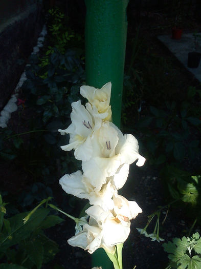 DSC05037
