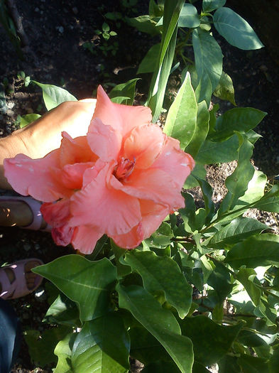 DSC05039