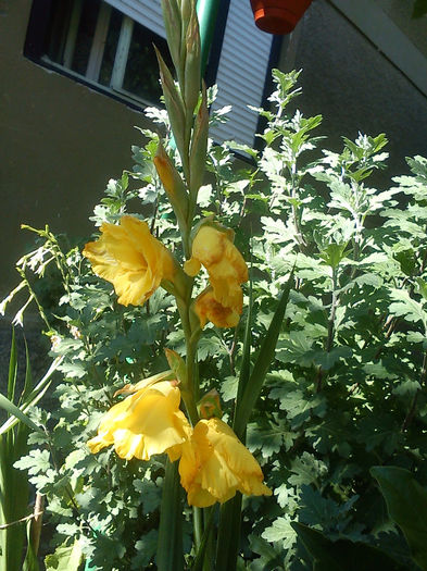 DSC05040