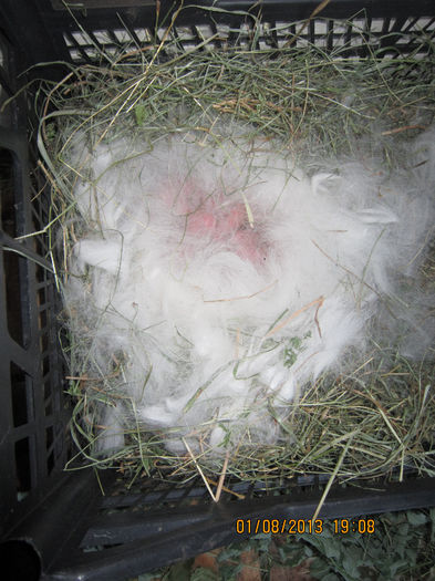 SUNTEM 6,IAR MAMA ARE 6 KG