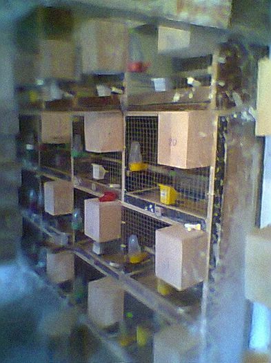 Fotogr.0469 - Perusi