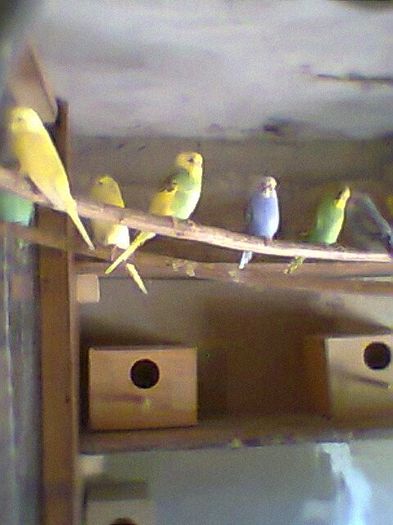 Fotogr.0459 - Perusi